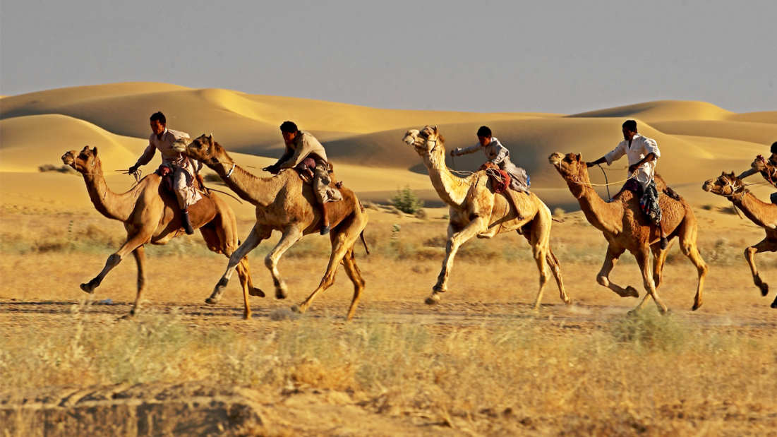 Jaisalmer Desert Safari booking